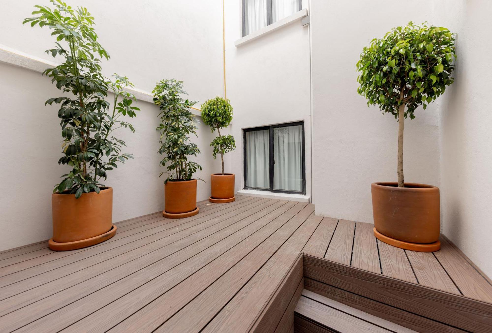 Ferienwohnung Baranda Ocho Mexiko-Stadt Exterior foto
